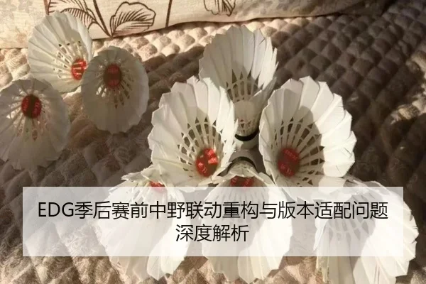 EDG季后赛前中野联动重构与版本适配问题深度解析